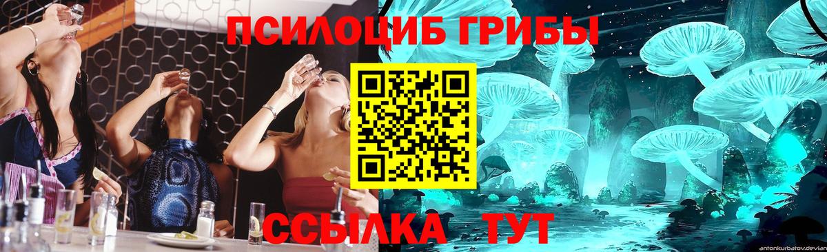 сколько стоит  Галлюциногенные грибы прущие грибы  Вход с VPN  Галлюциногенные грибы GOLDEN TEACHER  Кохма 
