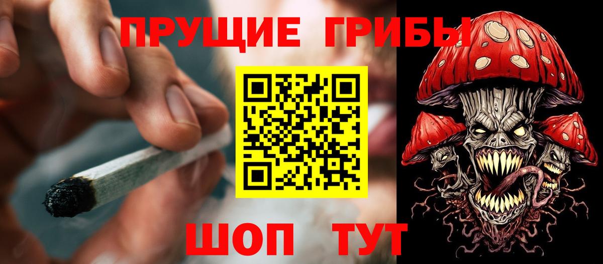 Псилоцибиновые грибы мицелий Кохма
